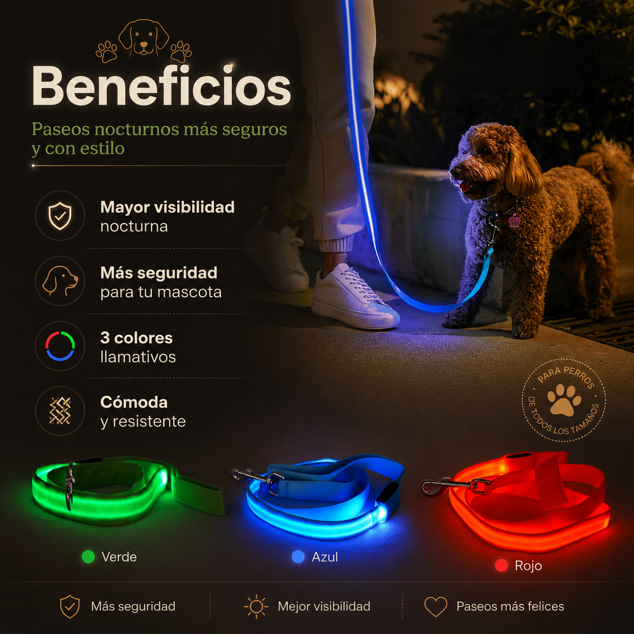 Correa Segura LED