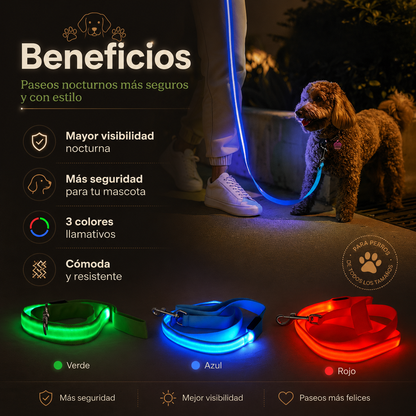 Correa Segura LED