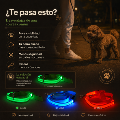 Correa Segura LED